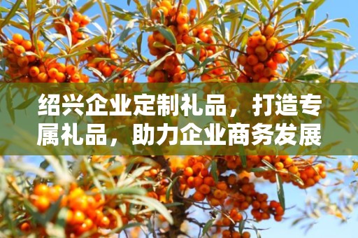 绍兴企业定制礼品，打造专属礼品，助力企业商务发展